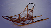 TWO STANTION SLED